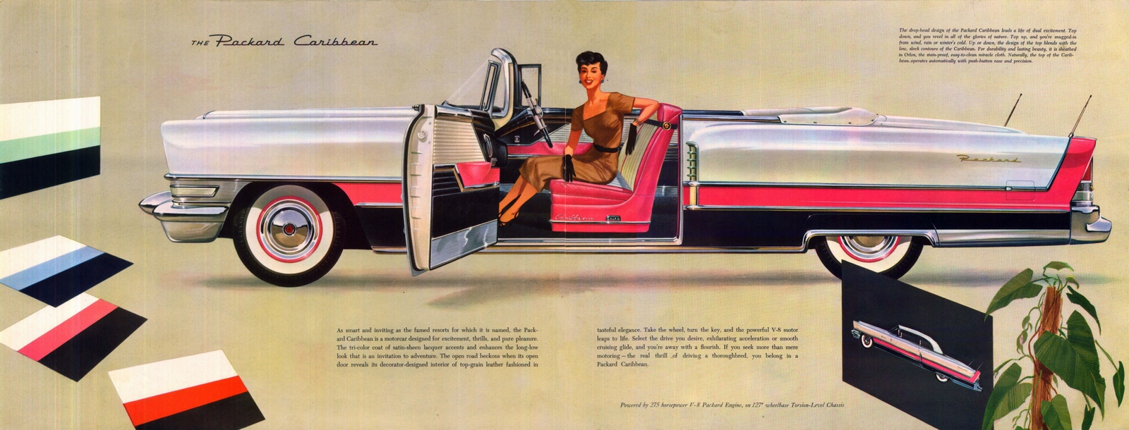 n_1955 The New Packard-08-09.jpg